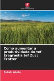 Como aumentar a produtividade do tef Eragrostis tef Zucc Trotter