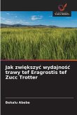 Jak zwi¿kszy¿ wydajno¿¿ trawy tef Eragrostis tef Zucc Trotter
