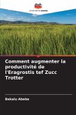 Comment augmenter la productivité de l'Eragrostis tef Zucc Trotter