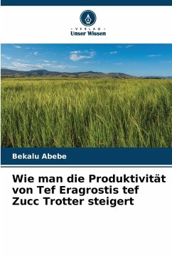 Cover Wie man die Produktivität von Tef Eragrostis tef Zucc Trotter steigert