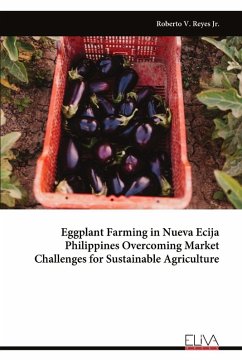Cover Eggplant Farming in Nueva Ecija Philippines Overcoming Market Challenges for Sustainable Agriculture