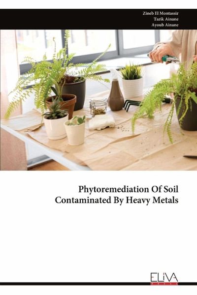 Phytoremediation Of Soil Contaminated By Heavy Metals Phytoremediation Of Soil Contaminated By Heavy Metals