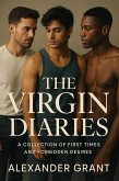 The Virgin Diaries (eBook, ePUB)
