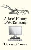 A Brief History of the Economy (eBook, ePUB)