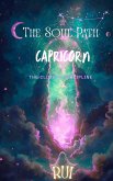 The Soul Path: Capricorn (eBook, ePUB)
