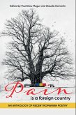 Pain is a Foreign Country (eBook, ePUB)