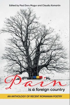 Pain is a Foreign Country (eBook, ePUB) - Mugur, Paul Doru