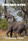 Dihlodilweng (eBook, ePUB)