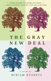 The Gray New Deal (eBook, ePUB)