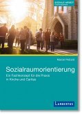 Sozialraumorientierung (eBook, PDF)