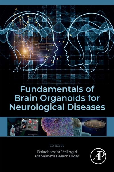 Fundamentals of Brain Organoids for Neurological Diseases (eBook, ePUB)