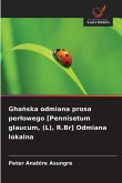 Gha¿ska odmiana prosa per¿owego [Pennisetum glaucum, (L), R.Br] Odmiana lokalna