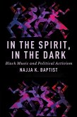 In the Spirit, In the Dark (eBook, ePUB)