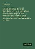 Special Report on the Coke Manufacture of the Youghiogheny River Valley in Fayette and Westmoreland Counties. With Geological Notes of the Coal and Iron Ore Beds