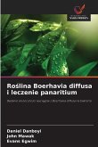 Ro¿lina Boerhavia diffusa i leczenie panaritium
