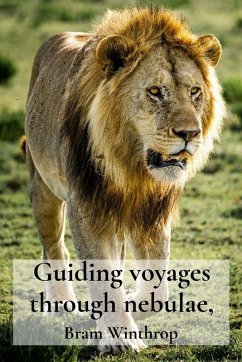 Cover Guiding voyages through nebulae,