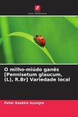 O milho-miúdo ganês [Pennisetum glaucum, (L), R.Br] Variedade local