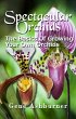 Spectacular Orchids - The Basics Of... - Bild 1