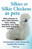 Silkies or Silkie Chickens as pets. Silkie chickens as pets. Silkie Bantams facts, raising, breeding, care, food and where to buy all covered. Including black, white, Chinese and bearded silkie chick (eBook, ePUB)