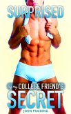 Surprised by My College Friend's Secret (eBook, ePUB)