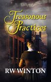 Treasonous Practices (eBook, ePUB)