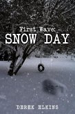 First Wave: Snow Day (eBook, ePUB)
