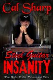 Steel Guitar Insanity (eBook, ePUB)