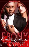 Ebony Enigma (SpicyShorts, #4) (eBook, ePUB)