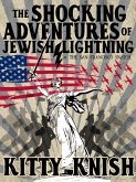 The Shocking Adventures of Jewish Lightning #1 The San Francisco Snatch (eBook, ePUB)