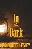 In the Dark (eBook, ePUB)