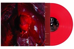 Cover Not Here Not Gone (Transparent Red Vinyl)