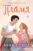 Plamya (eBook, ePUB)
