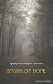 Spark of Hope (eBook, ePUB)