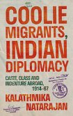 Coolie Migrants, Indian Diplomacy (eBook, ePUB)