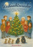 Weihnachtswunder (eBook, ePUB)