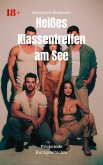 Heißes Klassentreffen am See (eBook, ePUB)