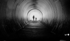 Cover Essays über das zeitgenössische Leben (eBook, ePUB)