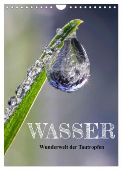 Cover Wasser - Wunderwelt der Tautropfen (Wandkalender 2026 DIN A4 hoch), CALVENDO Monatskalender