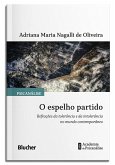 O espelho partido (eBook, ePUB)