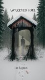 Awakened Soul (eBook, ePUB)