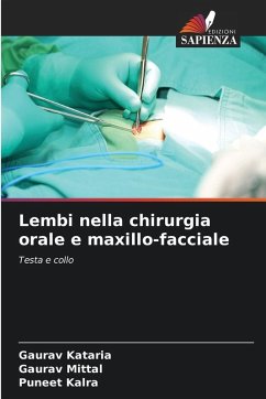 Cover Lembi nella chirurgia orale e maxillo-facciale