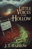 Little Voices In The Hollow Little Voices In The Hollow