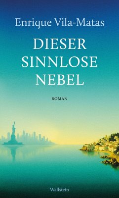 Cover Dieser sinnlose Nebel