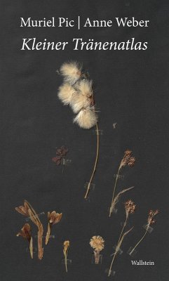 Kleiner Tränenatlas - Pic, Muriel;Weber, Anne