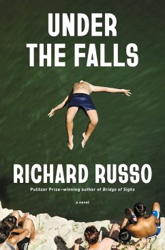 Cover Under the Falls (eBook, ePUB)