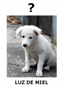 Conclusion (eBook, ePUB) - de Miel, Luz