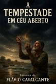 Tempestade Em Céu Aberto (eBook, ePUB)