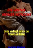 Deine Heissen, Verbotenen Fantasien Unzensiert (eBook, ePUB)