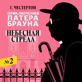 Nebesnaya strela (MP3-Download)