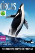 As Orcas (eBook, ePUB) - Bild 1